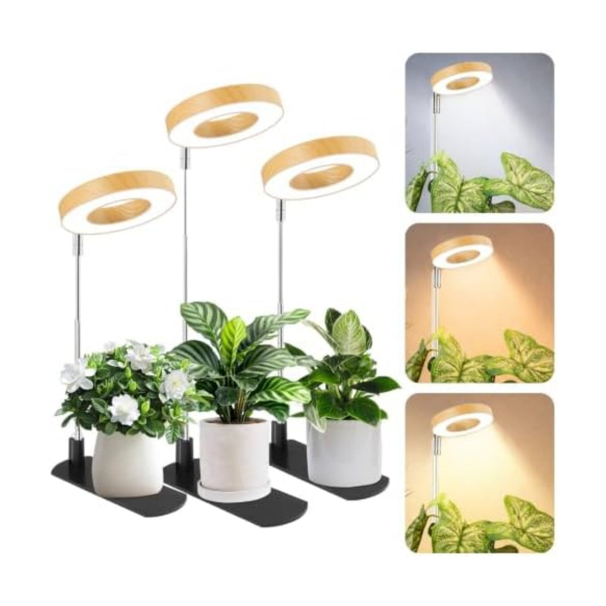 LBW Grow Lights for Indoor Plants, Full Spectrum Halo Grow Light with Base