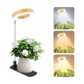 LBW Grow Lights for Indoor Plants, Full Spectrum Halo Grow Light with Base