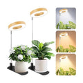 LBW Grow Lights for Indoor Plants, Full Spectrum Halo Grow Light with Base