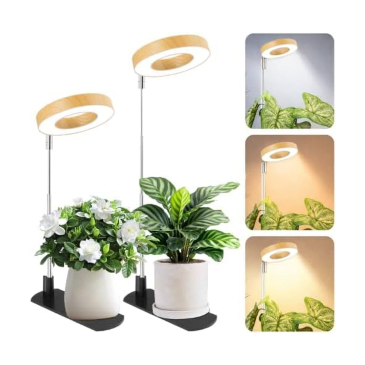 LBW Grow Lights for Indoor Plants, Full Spectrum Halo Grow Light with Base