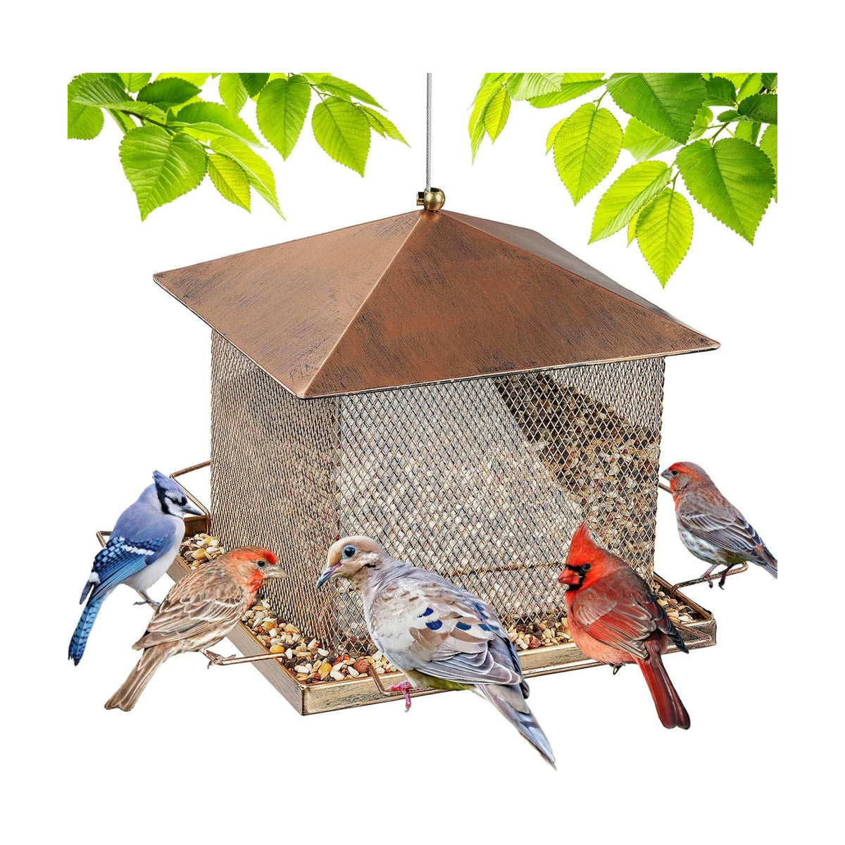 Bird Feeder, Heavy Duty Metal Bird Feeders for Outdoor Hanging