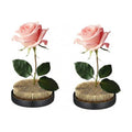 Sliner 2 Pcs 4 x 0.59 Inch Floral Frogs Round Brass Flower Holder, Gold