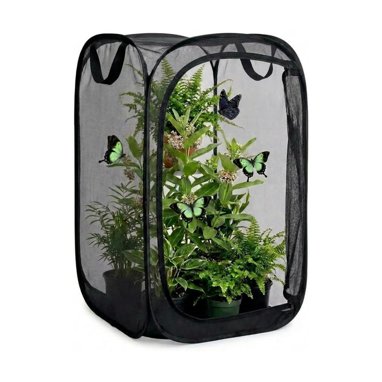 Mesh Plant Protection Enclosure, Portable Collapsible Garden Grow Cage with Mesh Barrier, Pest & Bird Proof Plant Cover