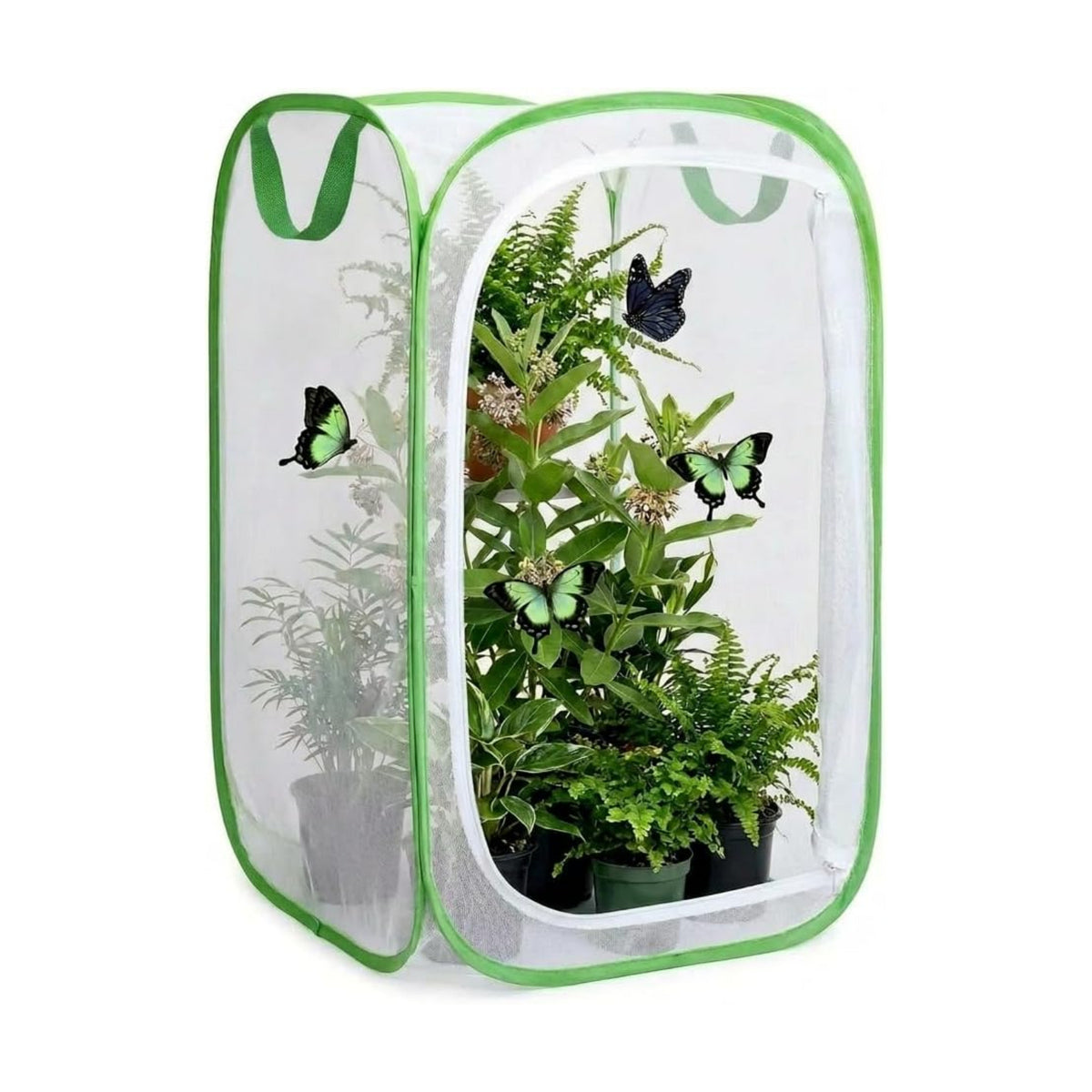 Mesh Plant Protection Enclosure, Portable Collapsible Garden Grow Cage with Mesh Barrier, Pest & Bird Proof Plant Cover for Vegetables, Fruits, Outdoor Patio Balcony Use, 36 Inches Tall