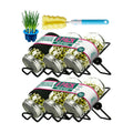 Seed Sprouting Jar Kit & Green Onion Regrower – 6 Regular Mouth Mason Jars with Stainless Steel Sprout Lids, Stand