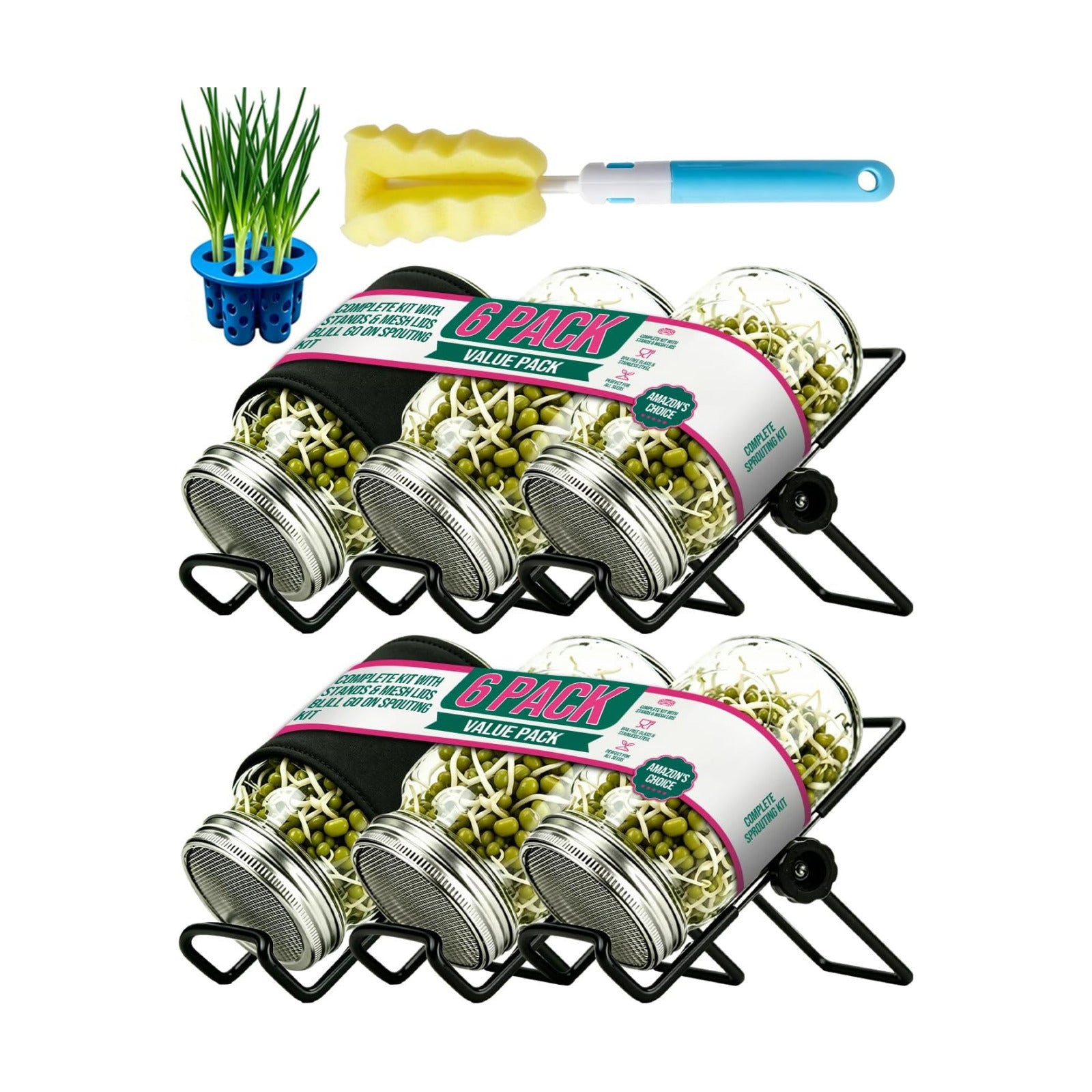 Seed Sprouting Jar Kit & Green Onion Regrower – 6 Regular Mouth Mason Jars with Stainless Steel Sprout Lids, Stand