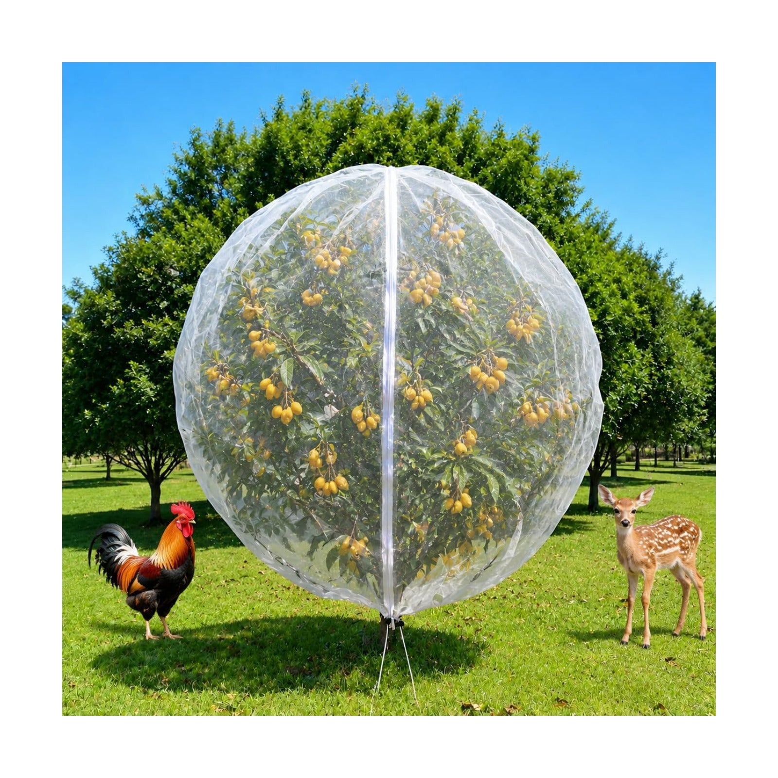 2 Pack 13x13ft Extra Large Fruit Tree Netting with Double Zipper & Double Drawstring, Heavy Duty Bird Netting for Fruit