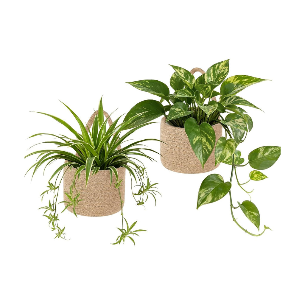 Dahey 2 Pcs Woven Wall Baskets with Plastic Wall Planters for Indoor Plants
