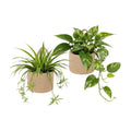 Dahey 2 Pcs Woven Wall Baskets with Plastic Wall Planters for Indoor Plants