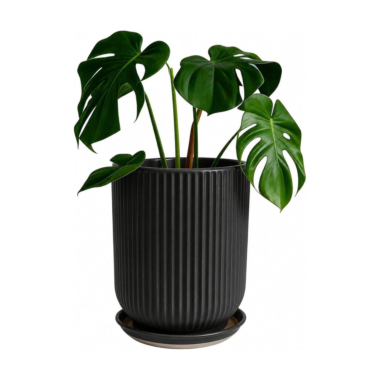 Deep Dream 8 Inch Ceramic Pots for Plants, Heavy Plant Pot for Indoor Outdoor Plants, Large Plant Pot with Drainage