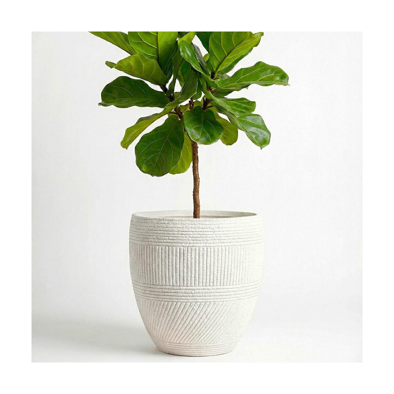 15" Textured Drum Planter - Handmade Fiberglass Composite | Handmade textured drum fiberglass composite with a drainage