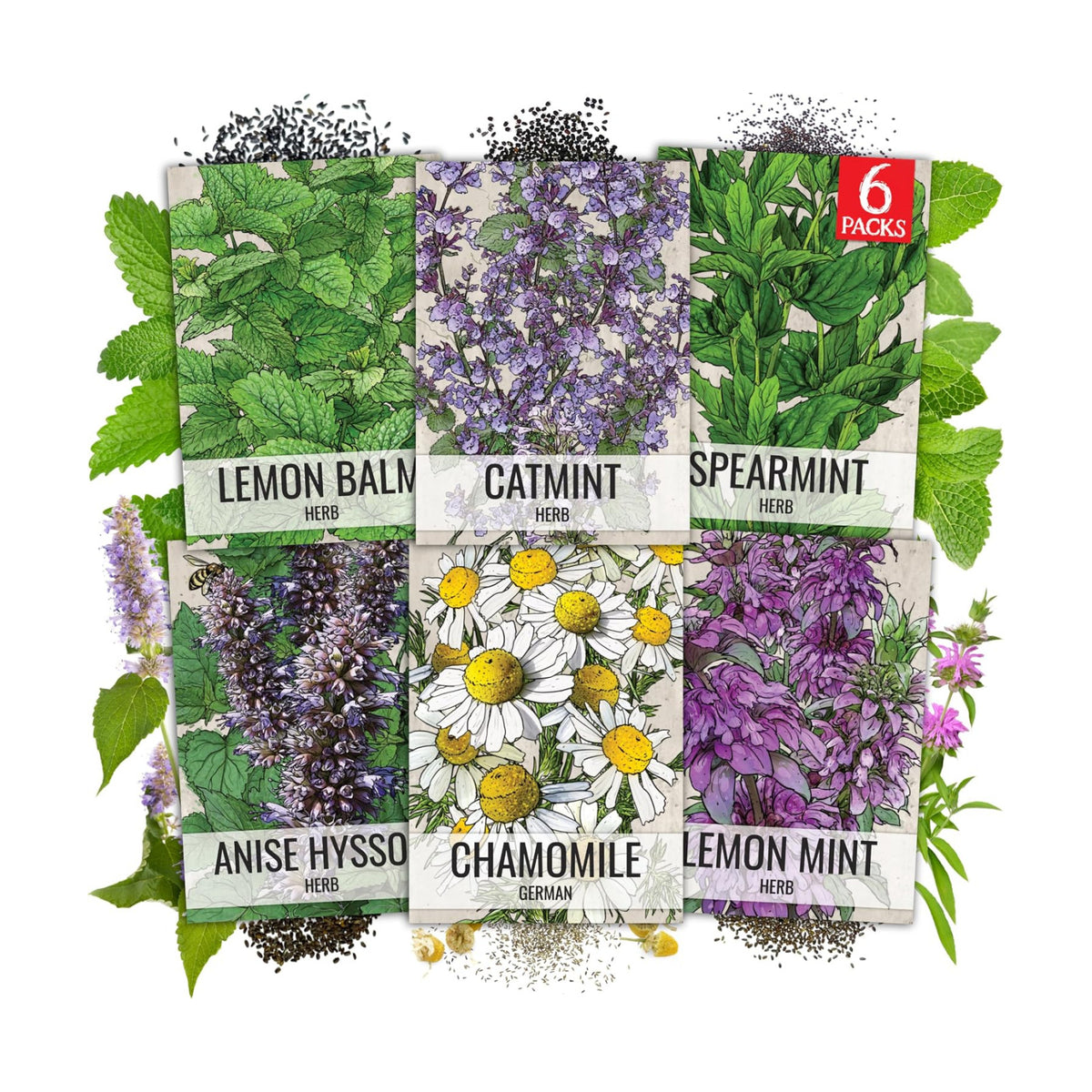Seed Needs Medicinal Herb Seeds Variety Pack of 6 Tea & Infusion Collection