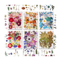 184 PCS Real Pressed Dried Flowers and Leaves for Resin