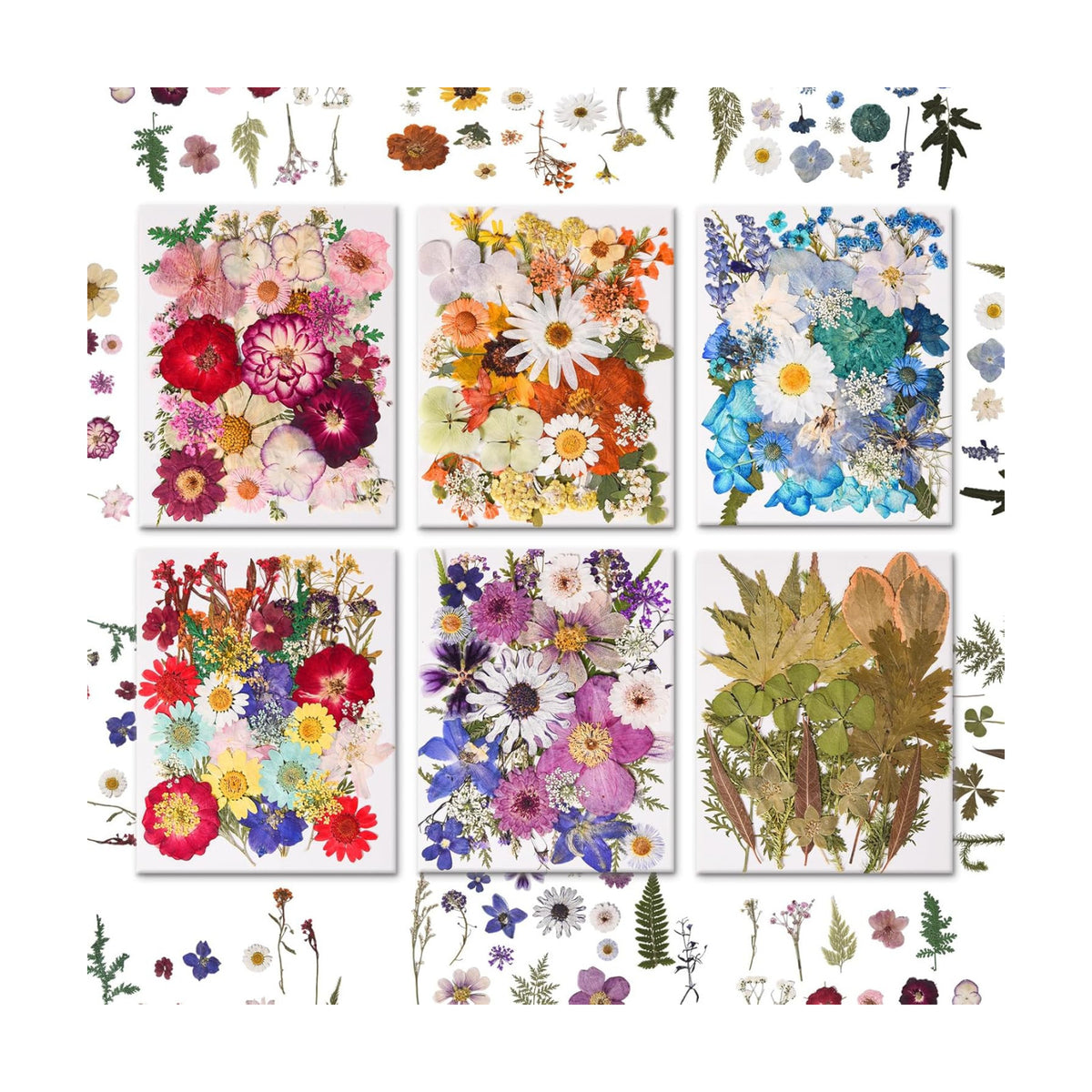 184 PCS Real Pressed Dried Flowers and Leaves for Resin