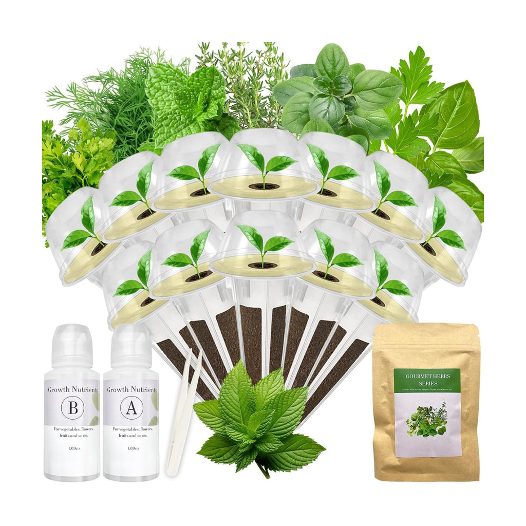 Gourmet Herb Seed Pod Kit for AeroGarden, idoo, Ahopegarden, MUFGA with Basil, Parsley, Thyme, Mint, Cilantro, Dill