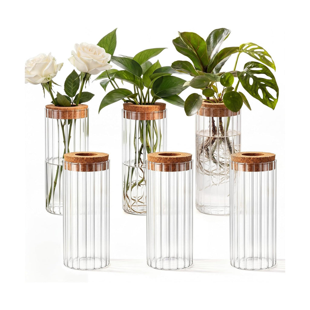 6 Set Propagation Station Jar Desktop Glass Planter Station Flower Vases Water Terrarium Jar with Cork Lid for