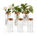 6 Set Propagation Station Jar Desktop Glass Planter Station Flower Vases Water Terrarium Jar with Cork Lid for