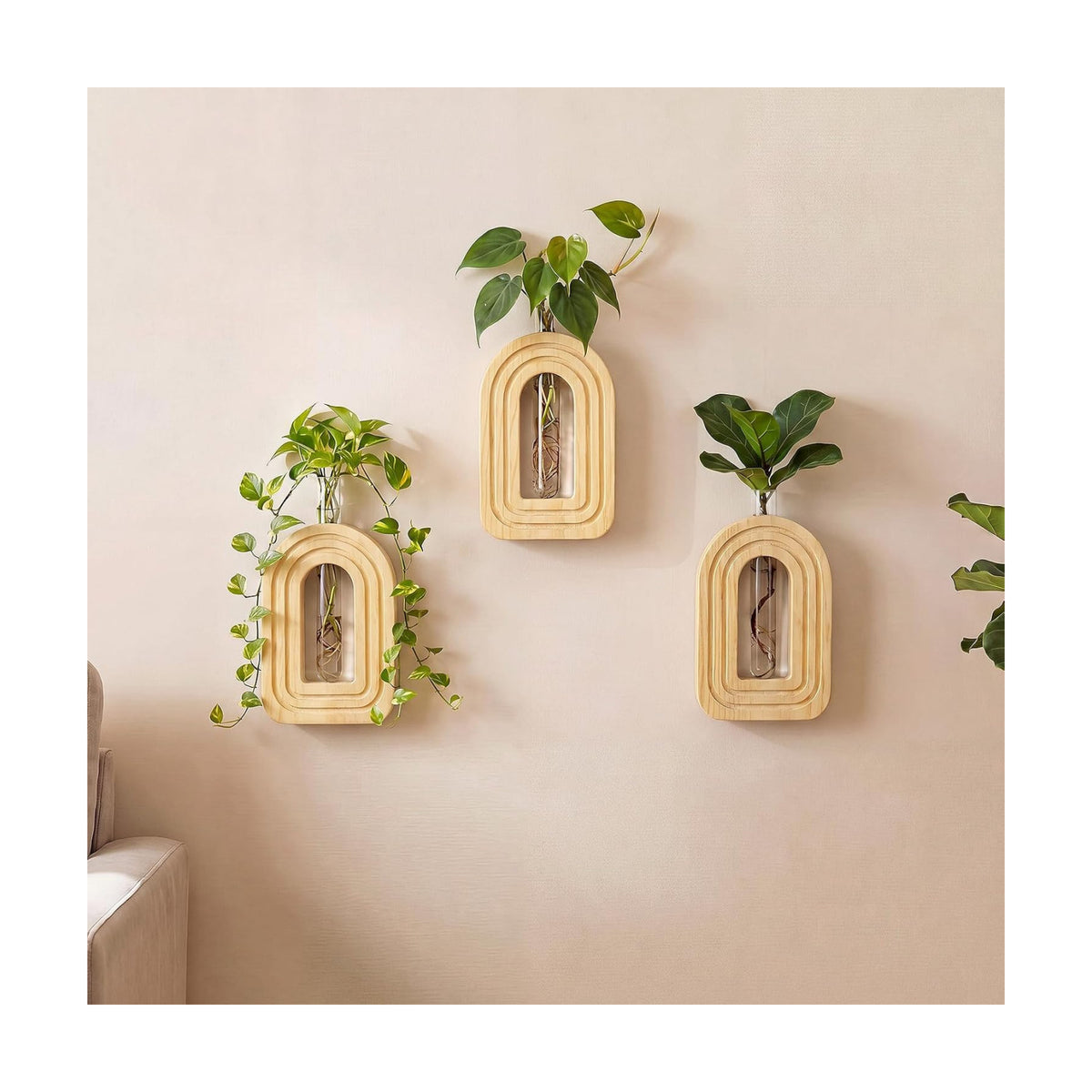 Capoda 3 Pack Wood Wall Vase, Arch Wall Propagation Station, Natural Wood