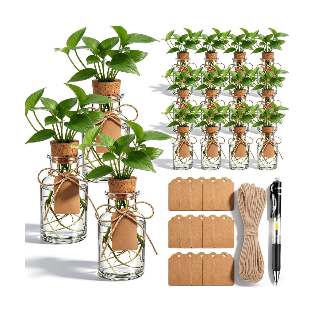 15 Pack Plant Propagation Stations with Hole Lid Tag,Cylindrical | 4.05'' Glass Propagation Jars, 4 oz Clear Hydroponic