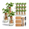 15 Pack Plant Propagation Stations with Hole Lid Tag,Cylindrical | 4.05'' Glass Propagation Jars, 4 oz Clear Hydroponic