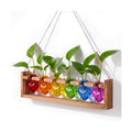 Rainbow Party Decoration Colorful Plant Terrarium with Wooden Stand 6 Heart Glass Vases Planter Propagation Station