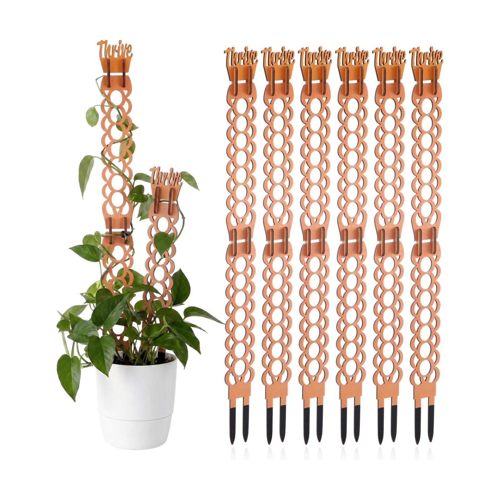 6 Sets Wooden Extendable Plants Trellis Indoor Modular Plant Trellis with Wood Thrive Sign Decor and Extensions for