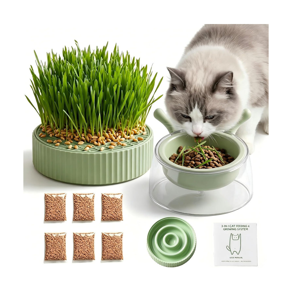 3-in-1 Slow Feeder Bowl, Cat Grass Growing Kit & Elevated Cat Food Bowl, | with Clear Germination Dome Splash Guard, 6
