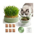 3-in-1 Slow Feeder Bowl, Cat Grass Growing Kit & Elevated Cat Food Bowl, | with Clear Germination Dome Splash Guard, 6