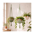 Shappy 3 Pack Boho Macrame Plant Hanger for Indoor