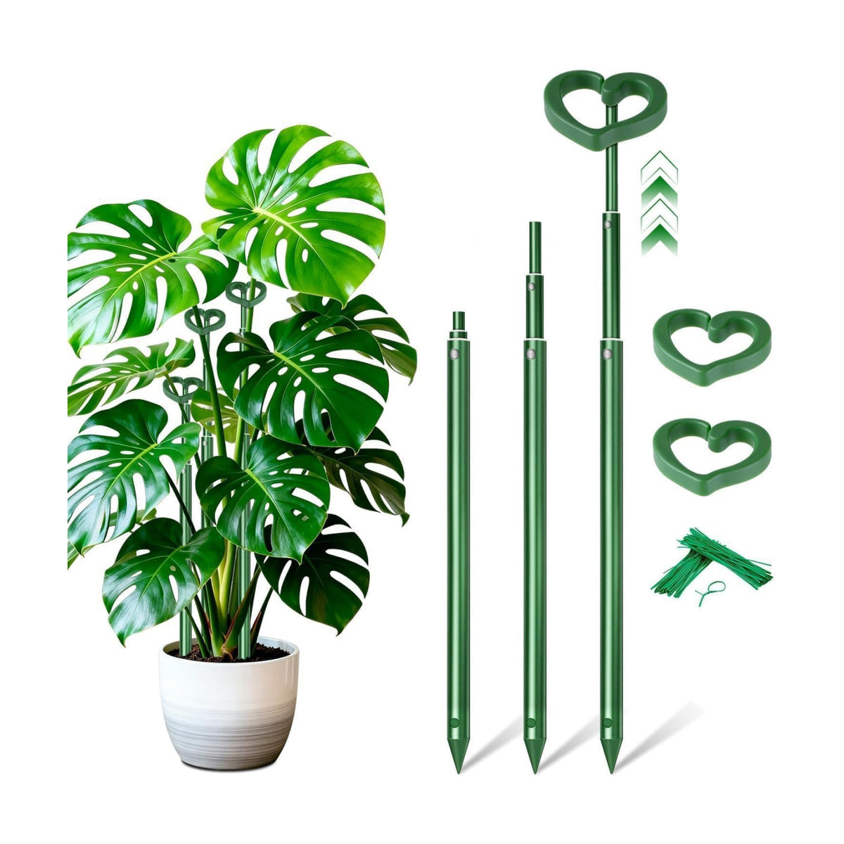 SupKing Telescoping Plant Stakes 37 inch,Adjustable Green Monstera Support Stake with Clips,Sturdy Plant Sticks Ploes for Indoor Outdoor,Garden Stakes for Flowers Tomato Vegetables Vine-3Pack