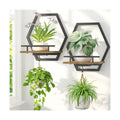 LASZOLA Plant Picture Frame Holder Shelf Wall Window Indoor, 2 Pcs Brown | Modern Floating Flower Hanger Wall Mounted