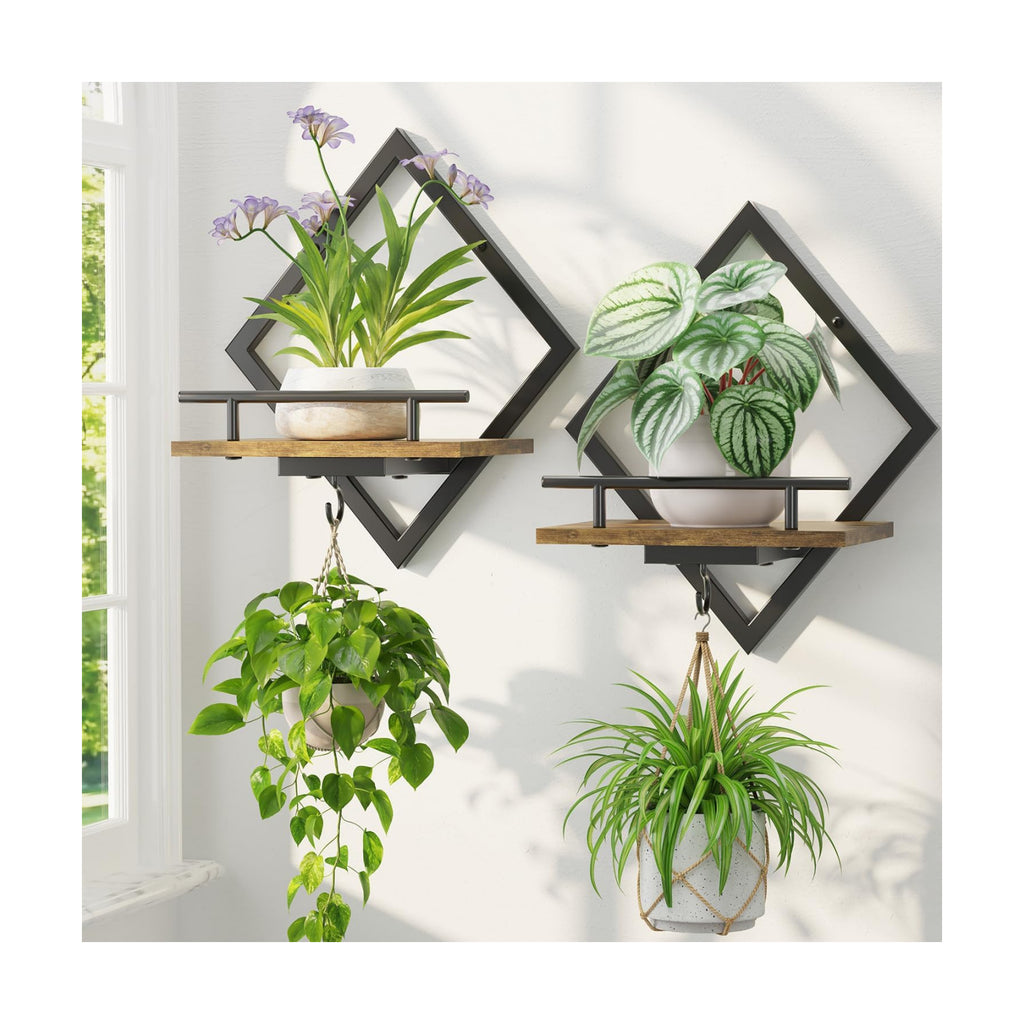 LASZOLA Plant Picture Frame Holder Shelf Wall Window Indoor, 2 Pcs Brown | Modern Floating Flower Hanger Wall Mounted