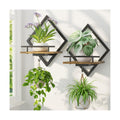 LASZOLA Plant Picture Frame Holder Shelf Wall Window Indoor, 2 Pcs Brown | Modern Floating Flower Hanger Wall Mounted