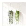 2Pcs Artificial Hanging Plants Macrame Hanger Pots Indoor Wall Home Decor | Faux Trailing Greenery, Fake Eucalyptus &