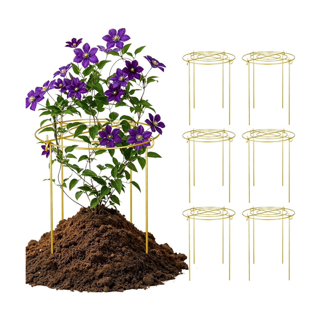 6 Pack Peony Cages and Supports, 12'' x 20'' Metal Removable Grid Flower Support Cage Set, 4-Leg Outdoor Plant Stake