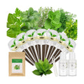 Gourmet Herb Seed Pod Kit for AeroGarden, idoo, Ahopegarden, MUFGA with Basil, Parsley, Thyme, Mint, Cilantro, Dill