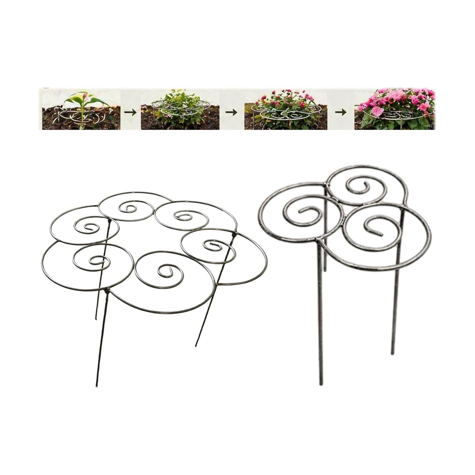 Metal Plant Support Ring, Heavy-Duty Peony & Dahlia Cages and Supports | Stackable Flower Support for Indoor & Outdoor