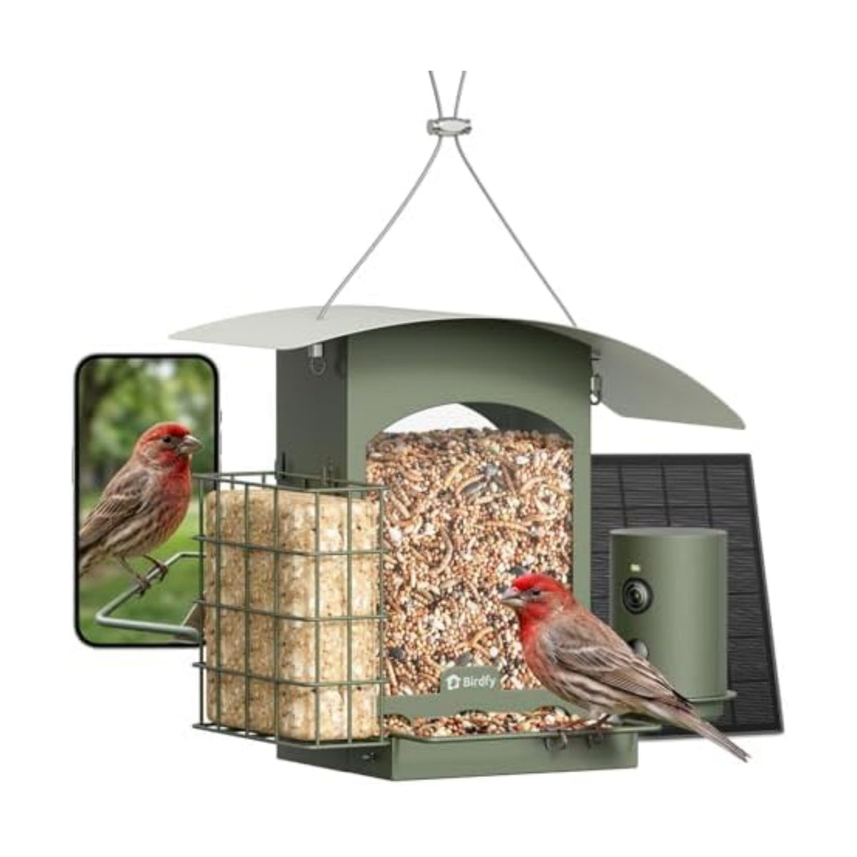 Birdfy Smart Bird Feeder with Camera Solar Powered, Gift for Bird Lovers