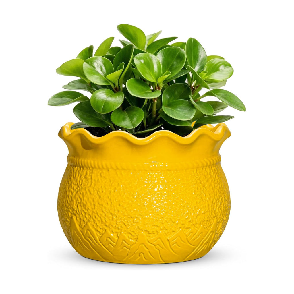 Ceramic Plant Pots, 6 Inch Indoor Planter with Drainage, Yellow | Decorative Flower Pots for Indoor Plants, Unique