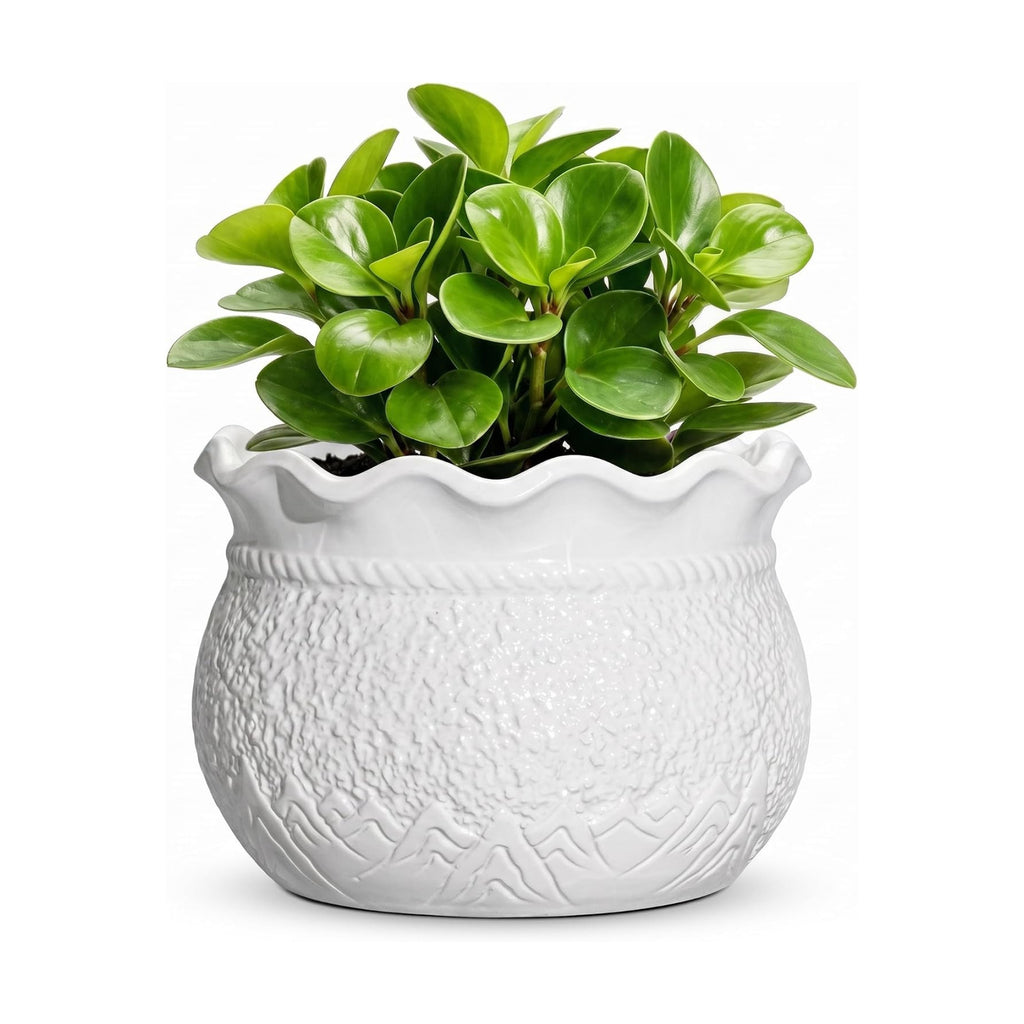 Ceramic Flower Pots, 6 Inch Plant Pot for Indoor Plants, White | Decorative Pots for Plants with Drainage Hole, Unique