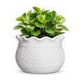 Ceramic Flower Pots, 6 Inch Plant Pot for Indoor Plants, White | Decorative Pots for Plants with Drainage Hole, Unique