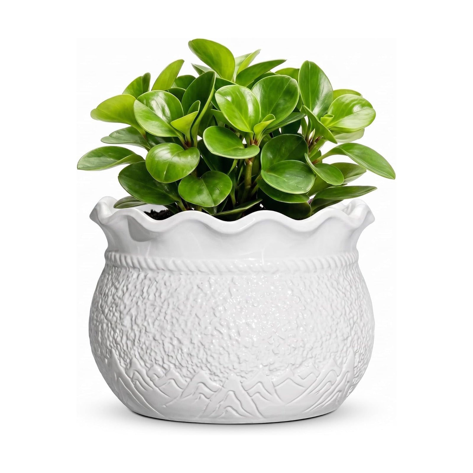 Ceramic Flower Pots, 6 Inch Plant Pot for Indoor Plants, White | Decorative Pots for Plants with Drainage Hole, Unique