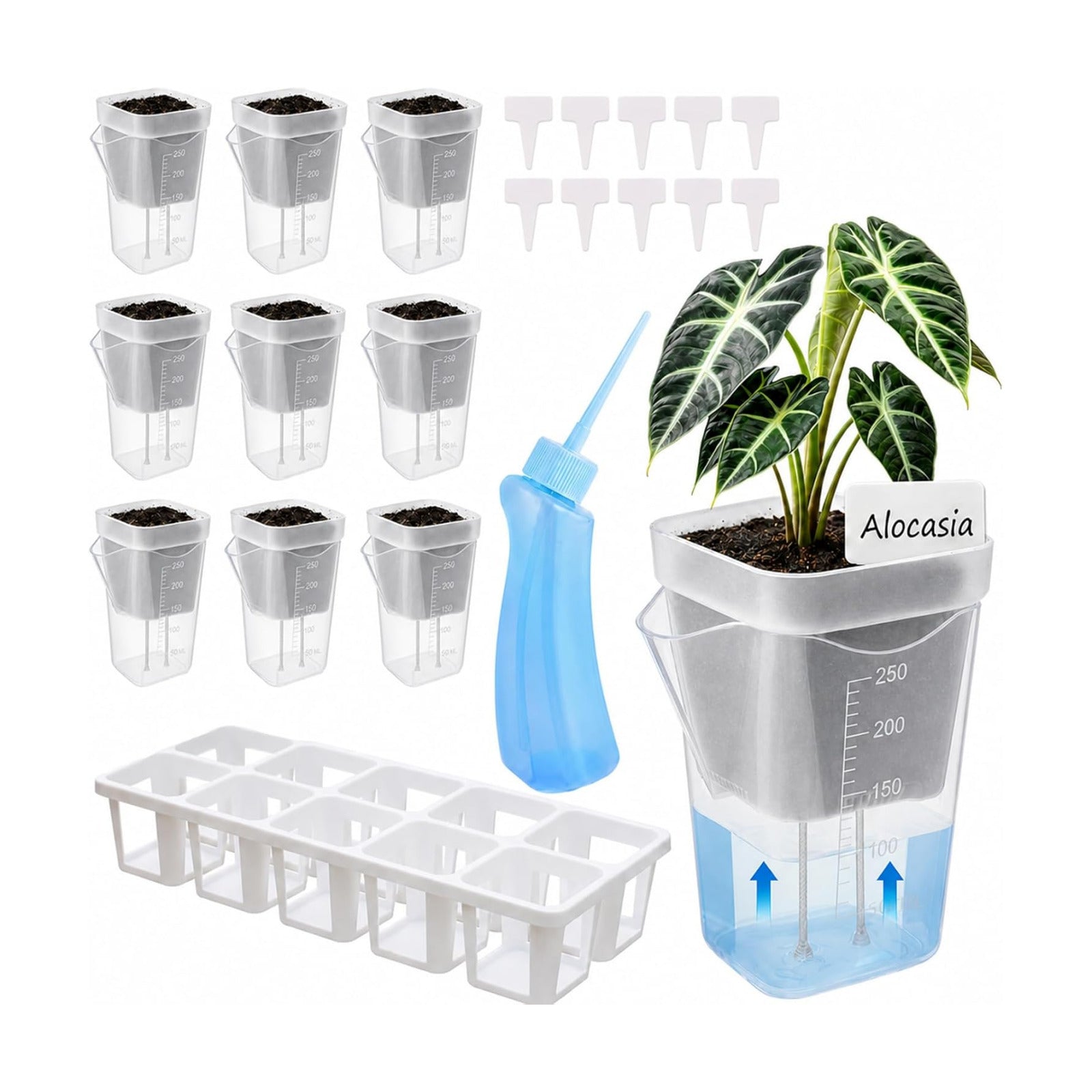 10 Pack 2.5" Self Watering Pots for Indoor Plants with Anti-Tip Tray & Reservoir Refill Bottle, Seed Starter Kit for
