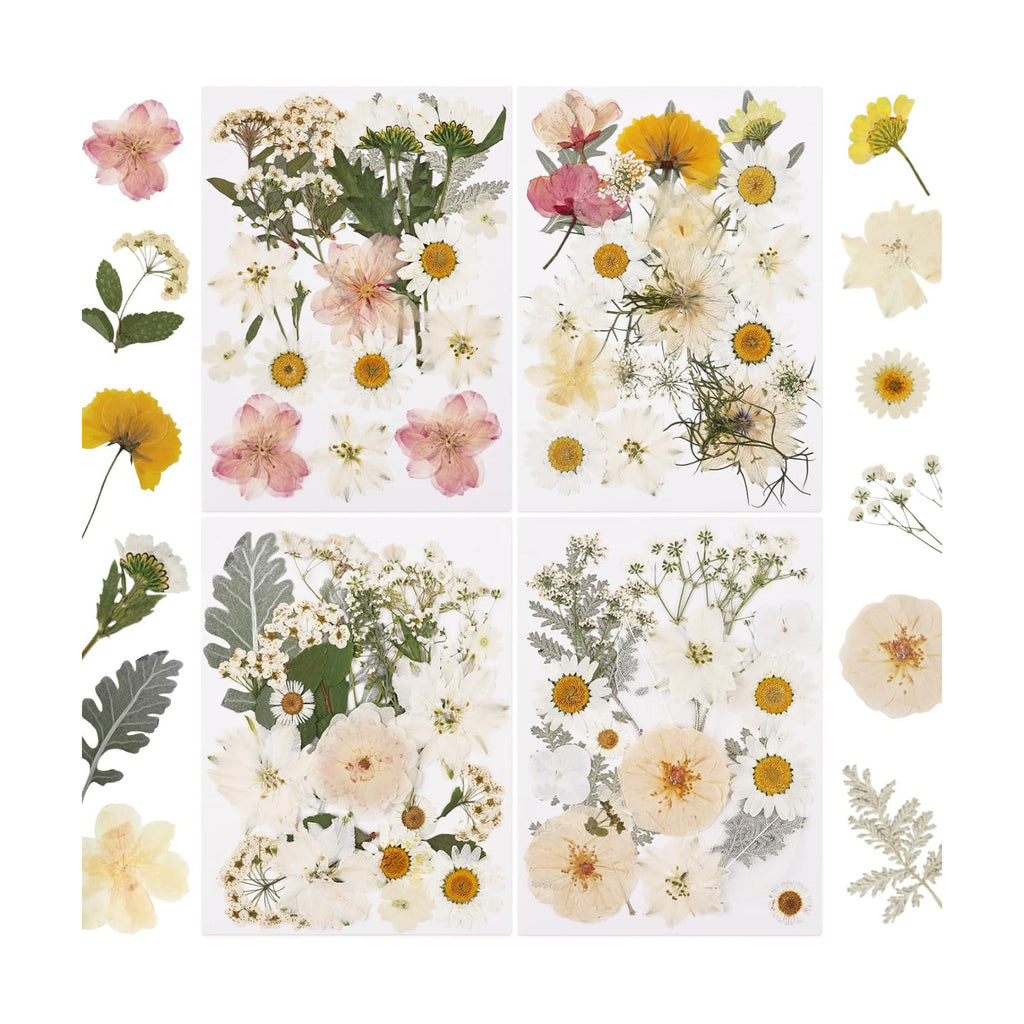 NESCCI 83 Pcs Dried Flowers for Crafts,Real Natural Dried Pressed Flowers