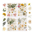 NESCCI 83 Pcs Dried Flowers for Crafts,Real Natural Dried Pressed Flowers