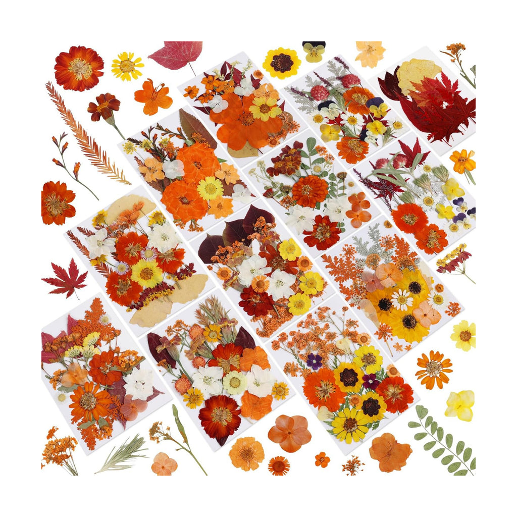 277 Pcs Autumn Dried Flowers for Crafts,Real Nature Dried Flowers for Resin
