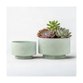Succulent Pots, 8"+6" Plant Pots, Ceramic Planters for Indoor Plants | 2-piece set with drainage holes, hand-painted