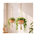 Shappy 2 Pack Boho Macrame Plant Hanger for Indoor
