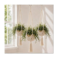 Shappy 3 Pack Boho Macrame Plant Hanger for Indoor
