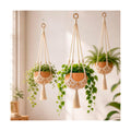Shappy 3 Pack Boho Macrame Plant Hanger for Indoor | Large Hanging Planter Plant Holder Pot Hanger Hanging Basket Wall